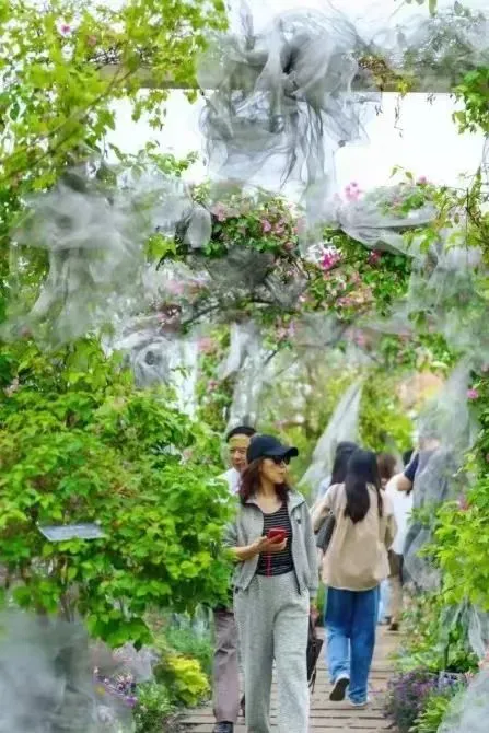 哪里能找到关于智能球衣在篮球训练中应用的信息_1